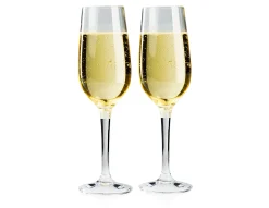 Nesting Champagne Flute Set